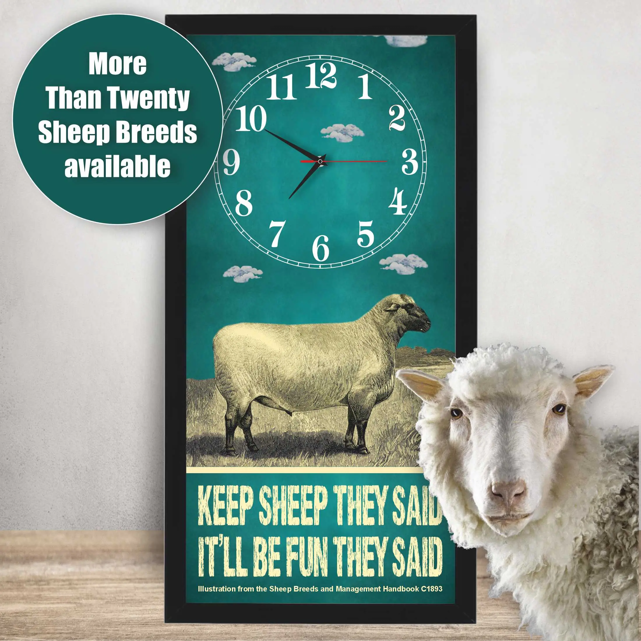 Hampshire Down Ram Sheep Clock – Keep Sheep They Said lifestyle photo, black frame
