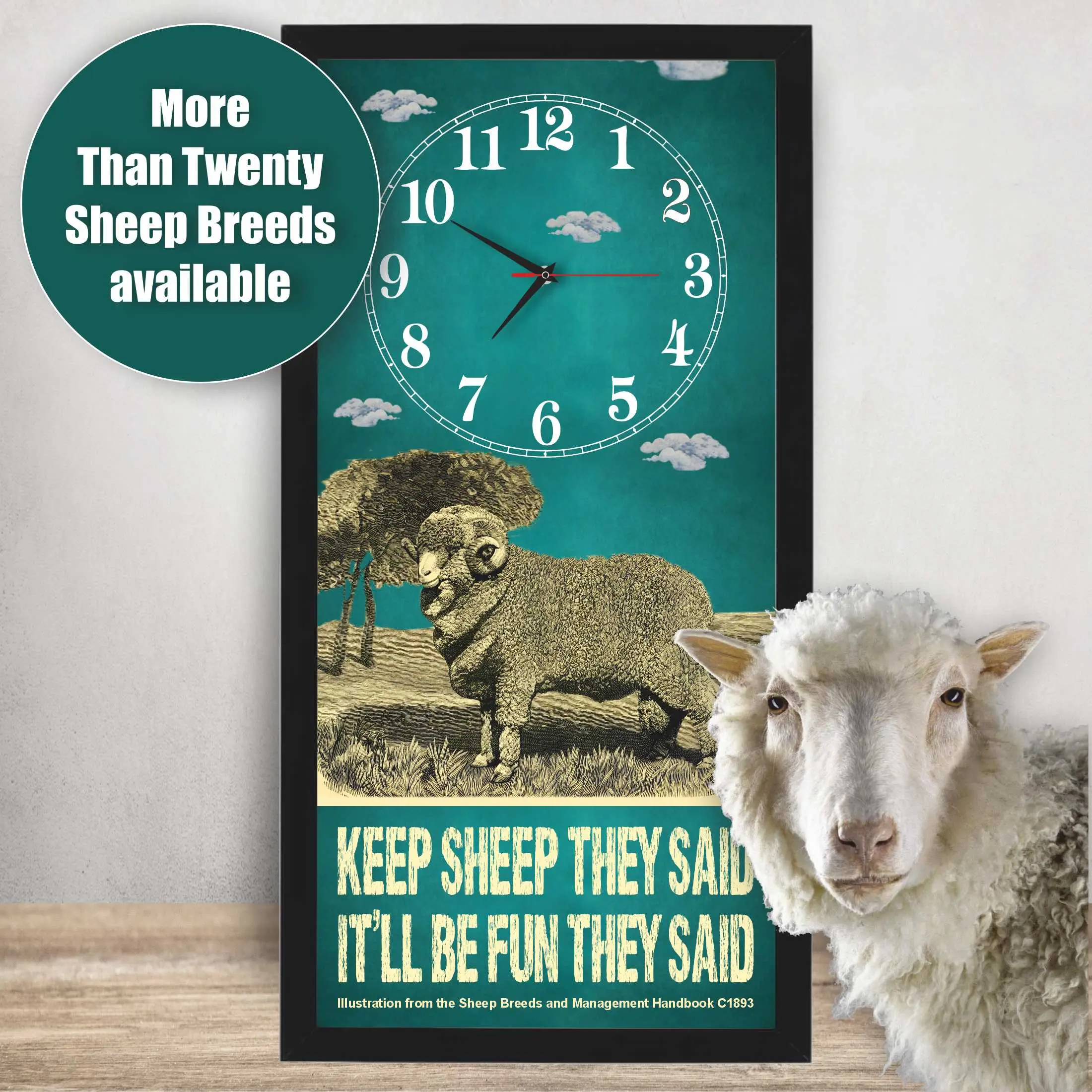 Merino Sheep Clock – Keep Sheep They Said lifestyle photo, black frame