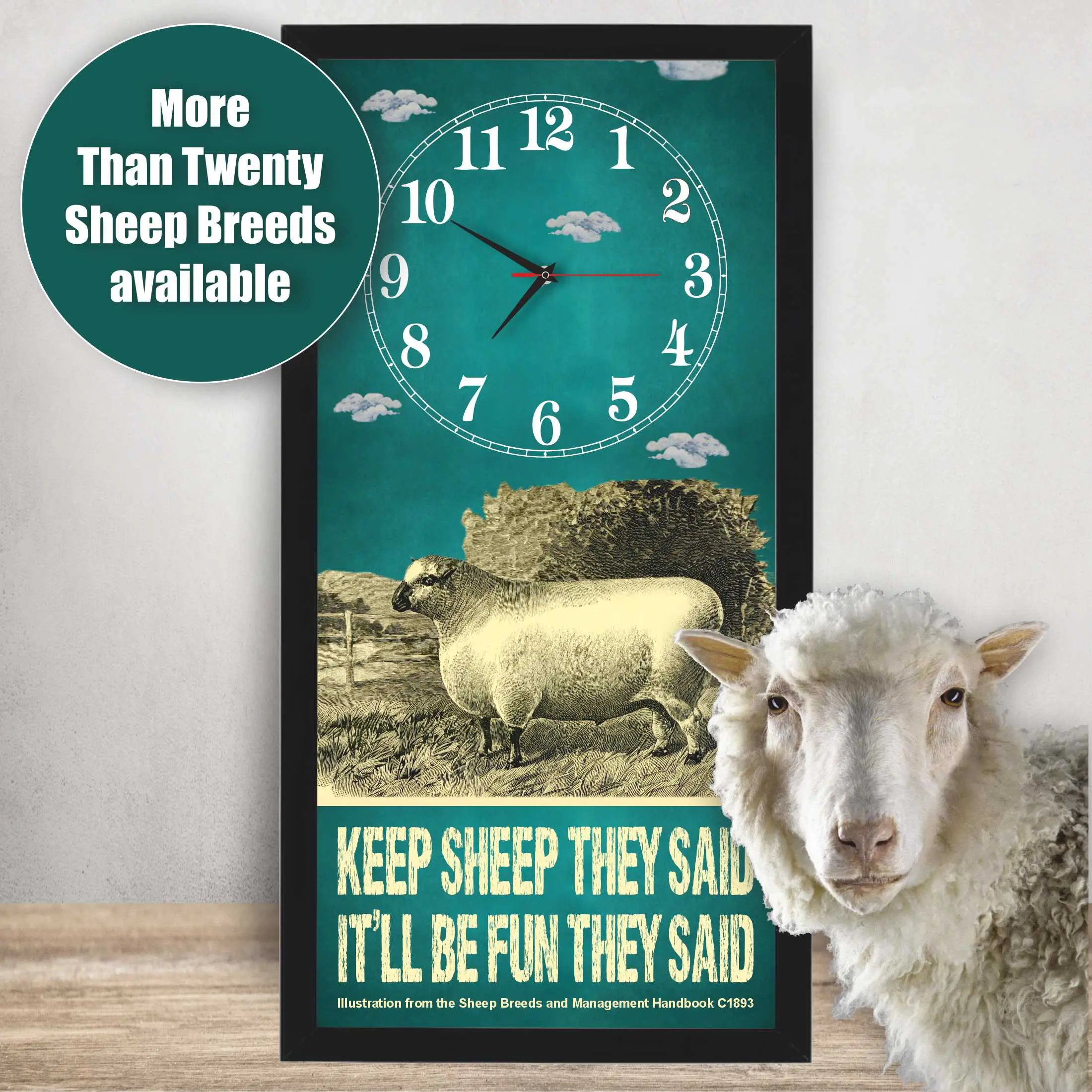 Shropshire Ram Sheep Clock – Keep Sheep They Said lifestyle photo, black frame