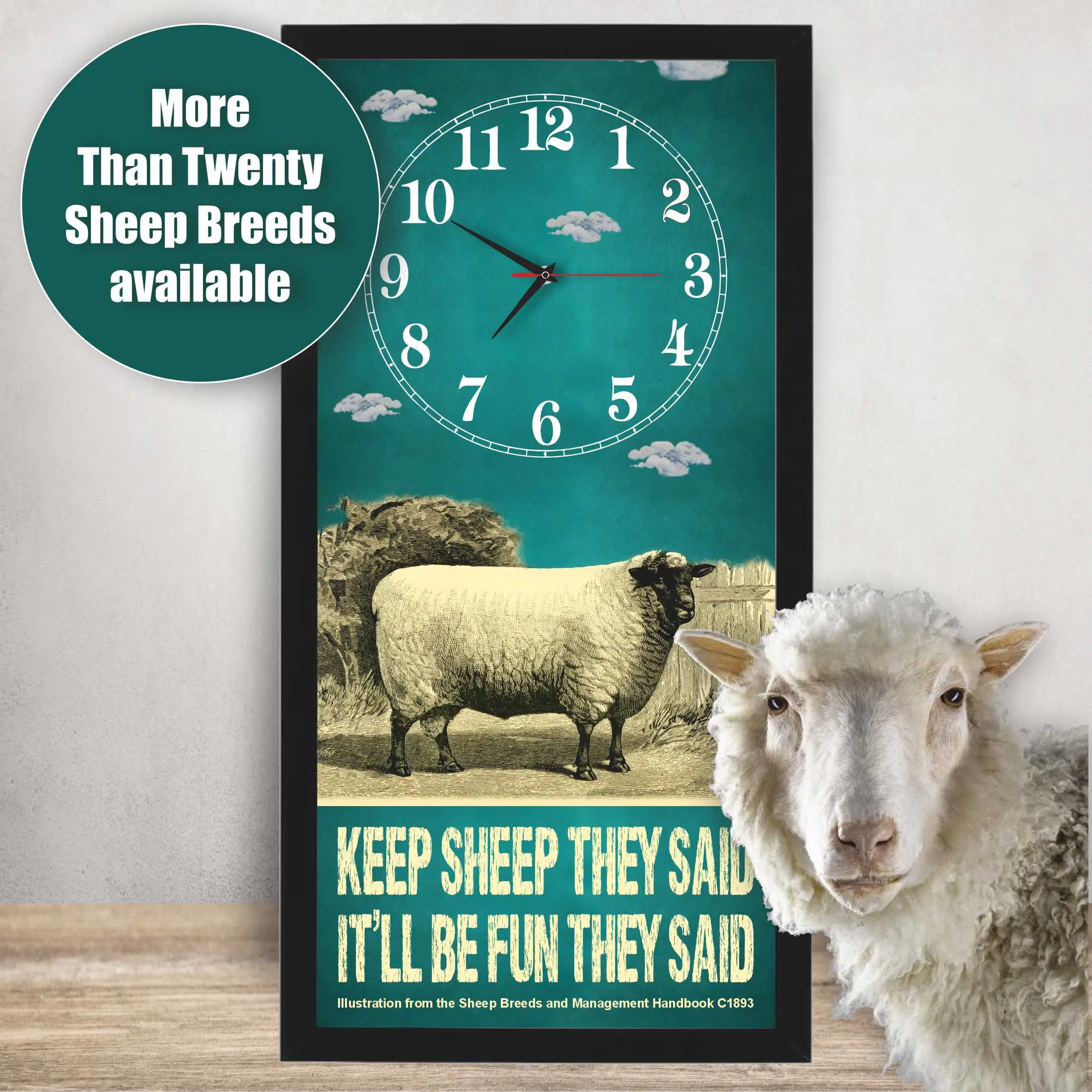 Suffolk Ram Sheep Clock – Keep Sheep They Said lifestyle photo, black frame